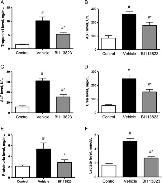 Plasma levels of cardiac troponin-I, aspartate aminotransferase (AST), alanine aminotransferase (ALT), urea, proteinuria, and lactate in sham-operated control animals and septic animals treated with vehicle, compared with those treated with BI113823, 15 hours following cecal ligation and puncture. All values are means ± standard errors of the mean (n = 8). #P < .05 vs the sham control group; *P < .05 vs the vehicle group.