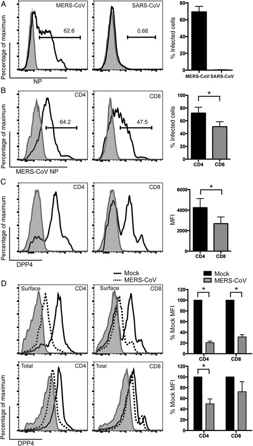 Middle East respiratory syndrome coronavirus (MERS-CoV) efficiently infects CD4+ and CD8+ T cells and downregulates surface dipeptidyl peptidase 4 (DPP4) in the infected cells. A, T cells were infected with MERS-CoV and severe acute respiratory syndrome CoV (SARS-CoV) at 2 50% tissue culture infective doses (TCID50) per cell. Cells were fixed at 24 hours after infection and immunolabeled for detection of expression of MERS-CoV NP or SARS-CoV NP. The shaded curve and the solid line represent virus NP expression from mock-infected and MERS/SARS-CoV–infected cells, respectively. B, T cells were infected with MERS-CoV at 2 TCID50 per cell. Cells were fixed at 24 hours after infection and immunolabeled for detection of CD4 or CD8 and MERS-CoV NP expression. The shaded curve and the solid line represent NP expression from mock-infected and MERS-CoV–infected cells, respectively. C, Uninfected T cells were fixed and immunolabeled for detection of CD4 or CD8 and surface DPP4 expression. The shaded curve and the solid line represent isotype and DPP4-specific staining, respectively. D, T cells were infected with MERS-CoV at 2 TCID50 per cell. Cells were fixed at 24 hours after infection and immunolabeled for detection of CD4 or CD8, DPP4, and MERS-CoV NP expression. Surface or total DPP4 was detected by labeling the cells with the DPP4 antibody before or after cell permeabilization, respectively. The shaded curve represents isotype staining of DPP4. The solid line and dotted line represent DPP4 staining from mock-infected and MERS-CoV–infected cells, respectively. The DPP4 mean fluorescence intensity (MFI) in infected cells was calculated on the basis of CD4+/MERS-CoV NP–expressing or CD8+/MERS-CoV NP–expressing double-positive T-cell data. The DPP4 MFI in mock-infected cells was calculated on the basis of CD4+ or CD8+ T-cell data. The summary panels at the right represent the average percentage of infected cells (A and B), MFI (C), or percentage of mock MFI (D) from 3 different donors. In all panels, bars and error bars represent means and standard deviations. Statistical analyses were performed using the Student t test. *P < .05.