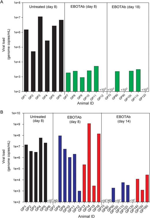 Viral genome copies in the blood and tissue of Ebola virus (EBOV)–challenged guinea pigs treated with EBOTAb and untreated controls. A, RNA levels in blood at day 8 after challenge and in EBOTAb-treated animals at day 18 in animals first treated with EBOTAb 6 hours after challenge (green bars). B, RNA levels in blood at day 8 after challenge and in animals that survived to day 14 among animals treated with EBOTAb starting 48 (blue bars) and 72 (red bars) hours after challenge. Abbreviations: GP, guinea pig; ND, not done.