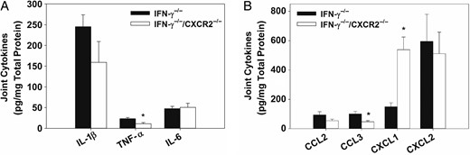 Reduced levels of tumor necrosis factor α (TNF-α) and CCL3 in interferon γ (IFN-γ)−/− mice lacking CXCR2. IFN-γ−/− and IFN-γ−/−/CXCR2−/− mice were infected intraperitoneally with approximately 1 × 105 colony-forming units of Brucella melitensis. Joint homogenates (6–7/group) were assayed for inflammatory cytokines (A) and chemokines (B) 25 days after infection by the Luminex assay and normalized using a bicinchoninic acid protein assay. *P < .05 as compared to IFN-γ−/− mice. Error bars depict standard errors of the mean. Abbreviations: IL-1β, interleukin 1β; IL-6, interleukin 6; TNF-α, tumor necrosis factor α.