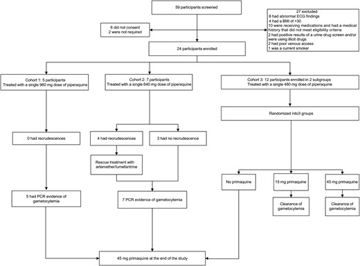 Trial profile. Abbreviations: BMI, body mass index; ECG, electrocardiography; PCR, polymerase chain reaction.