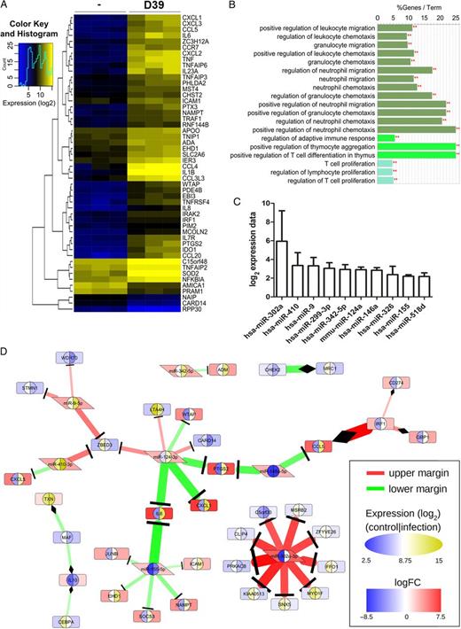Analysis of high-throughput data from infected macrophages reveals microRNA-146a (miRNA-146a), miR-9, and miR-155 as potential cooperative regulators of the transcription factor NF-κB. Furthermore, miR-146a and miR-124 appear to be both regulators of cyclooxygenase 2 (PTGS2) expression. A, Heat map of differential gene expression in primary human blood-derived macrophages (BDMs) stimulated with Streptococcus pneumoniae. BDMs from different donors were left untreated or stimulated with S. pneumoniae serotype 2 strain (D39; multiplicity of infection, 0.1) for 16 hours in 3 independent experiments. RNA was isolated and subjected to microarray analysis. The 50 most significantly regulated genes are shown. (B) GO term enrichment analysis of the genes from panel A reflects a focus on leukocyte differentiation and migration and a connection to the T-cell branch of the adaptive immune system. The analysis was performed in Cytoscape with ClueGO against a preselected background of genes involved in immune system processes. At a significance threshold of .001, 3 GO term clusters (distinguishable by bar colors) were identified. C, Ranked presentation of log2 expression data ± standard error of the mean for significantly regulated miRNAs in the same samples as in panel A. The expression of 377 miRNAs was analyzed by the Taqman Low Density Array kit. Significantly regulated miRNAs (P < .05) were normalized to the internal reference, U6. D, Part of an interaction network (Supplementary DataC) that was reconstructed based on validated interactions (extracted from miRTarBase) between the genes and miRNAs selected in the high-throughput data analysis. We extracted highly perturbed interactions from the network with ExprEssence. The expression level of each molecule is shown twice: the inner left and right semicircle represent absolute expression in control and infected conditions, respectively (blue-white-yellow elliptical scale), while the background color of the enclosing shape illustrates the difference between infected and control (blue-white-red rectangular scale). We considered only interactions that were either below the 10th percentile (lower margin; green) or above the 90th percentile (upper margin; red) of ExprEssence's LinkScore. **P < .001.