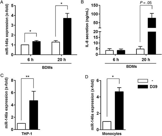 Streptococcus pneumoniae induces expression of the gene encoding microRNA-146a (miRNA-146a) in different immune cells. Primary human blood-derived macrophages (BDMs; A and B), THP-1 cells (C), or monocytes (D) were left untreated or infected with S. pneumoniae serotype 2 strain D39 (multiplicity of infection, 0.1) for 6 hours (A and B) or 20 hours (A, B, C, and D), respectively. RNA was isolated, and MIR146A expression was analyzed by quantitative reverse transcription–polymerase chain reaction (A, C, and D). B, Interleukin 8 (IL-8) secretion by BDMs was determined by enzyme-linked immunosorbent assay. Data are shown as mean ± standard error of the mean of 4 (A), 3 (B and C), or 2 (D) independent experiments performed in duplicates (C) or triplicates (D). Statistical analysis was performed as described in “Methods” section. *P < .05 and **P < .01. Abbreviation: THP-1, human monocytic leukemia cell line.