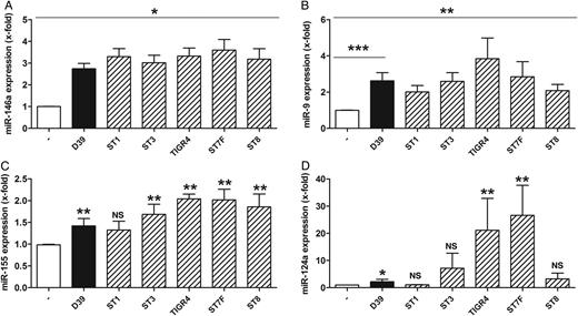 Clinical isolates of Streptococcus pneumoniae induce microRNA-146a (miRNA-146a), miR-9, miR-155, and miR-124a release in human macrophages. Primary human blood-derived macrophages were left untreated or stimulated with S. pneumoniae serotype 2 strain (D39; multiplicity of infection, 0.1) or other S. pneumoniae serotype strains for 16 hours. RNA was isolated, and expression of the indicated miRNAs (A–D) was analyzed by quantitative reverse transcription–polymerase chain reaction. The following S. pneumoniae strains were used: D39, ST1, ST3, TIGR4, ST7F, and ST8. Data are shown as mean ± standard error of the mean of at least 4 independent experiments. The Mann–Whitney U test was used. *P < .05, **P < .01, and ***P < .001. Abbreviation: NS, not significant.