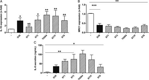 Clinical isolates of Streptococcus pneumoniae differentially regulate IL10 and MRC1 expression in human macrophages. Primary human blood-derived macrophages (BDMs) were left untreated or stimulated with S. pneumoniae serotype 2 strain (D39; multiplicity of infection, 0.1) or other S. pneumoniae serotype strains for 16 hours. RNA was isolated, and expression was analyzed by quantitative reverse transcription–polymerase chain reaction (A and B). Interleukin 8 (IL-8) secretion by BDMs was determined by enzyme-linked immunosorbent assay (C). Data are shown as mean ± standard error of the mean of at least 4 independent experiments. The following S. pneumoniae strains were used: D39, ST1, ST3, TIGR4, ST7F, and ST8. For statistical comparison between uninfected control and stimulated samples, the Mann–Whitney U test was used. *P < .05, **P < .01, and ***P < .001. Abbreviation: NS, not significant.