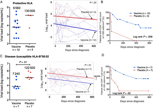 Chronic viral set point and CD4+ T-cell counts in infected Phambili subjects expressing protective HLA-B*57/58:01/81:01 or disease-susceptible HLA-B*58:02 alleles. A–C, Data for the participants expressing protective alleles (12 vaccinees and 3 placebo recipients). D–F, Data for the participants expressing HLA-B*58:02 (7 vaccinees and 7 placebo recipients). A and C, Chronic viral set point (defined for each individual as the median of all measurements from >3 months after diagnosis) is shown at left. Each patient's set point is shown as circles (vaccine recipients) or triangles (placebo recipients). Horizontal lines and numbers denote median values for vaccine and placebo groups. Statistical analysis was performed by the Mann–Whitney U test. Examination of the effect of vaccination on longitudinal viral load values before antiretroviral therapy initiation is shown at right. The slopes (thick lines) generated from a linear mixed-effects model are plotted on top of data points and viral load trajectories (thin lines) for individual patients. Statistical analysis was performed by analysis of variance. B and D, Kaplan–Meier curves showing time to reach a CD4+ T-cell count of <350 cells/mm3 in vaccinees and placebo recipients. Statistical analysis was performed by the log-rank test.