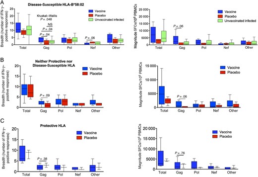 CD8+ T-cell responses in the infected Phambili subjects expressing disease-susceptible HLA-B*58:02 or those expressing neither protective nor disease-susceptible alleles or those expressing protective HLA alleles. A, Breadth and magnitude of CD8+ T-cell responses at the second time point in HLA-B*58:02–positive vaccinees, placebo recipients, and C clade chronically infected unvaccinated B*58:02-positive individuals. B, Breadth and magnitude of CD8+ T-cell responses at the second time point in vaccinees and placebo recipients expressing neither protective nor disease-susceptible HLA-B alleles. C, Breadth and magnitude of CD8+ T-cell responses at the second time point in vaccinees and placebo recipients expressing protective HLA-B alleles. In Tukey box plots, horizontal lines indicate median values, boxes show interquartile ranges, and whiskers show minimum and maximum values. Statistical analysis was performed by the Kruskal–Wallis and Mann–Whitney U tests. The column termed “Total” shows the combined values of responses to all proteins; the column termed “Other” includes responses to Env, Rev, Tat, Vpu, Vif, and Vpr. Abbreviations: IFN-γ, interferon γ; NS, not significant; PBMC, peripheral blood mononuclear cell; SFC, spot-forming cells.