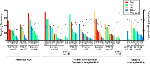 HLA-dependent differential immunodominance hierarchy of CD8+ T-cell responses in chronically C clade–infected, antiretroviral-naive, South African adults. CD8+ T-cell immunodominance hierarchy in subjects in the 3 HLA groups (allele frequency ≥5%), expressing protective HLA, neither protective nor disease-susceptible HLA, and disease-susceptible HLA. Targeting frequency denotes the percentage of subjects making detectable responses in interferon γ enzyme-linked immunospot assays to the named human immunodeficiency virus type 1 peptide. Numbers on the x-axis refer to the particular overlapping peptide (of 410 spanning the C clade proteome) to which a response was detected. The x in each column denotes the median viral load of responders to that peptide.