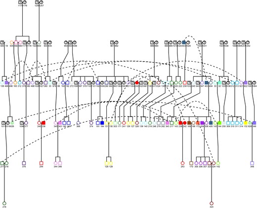 Pedigree tree of a subsample of the largest family. The pedigree tree was obtained using the Kinship2 R Package. Similar colors indicate the inhabitants living in the same house. Filled symbols denote infected individuals, empty symbols denote uninfected individuals, and question marks denote unknown status. Squares denote males, and circles denote females. Dotted lines indicate the same individual linking different regions of the pedigree.