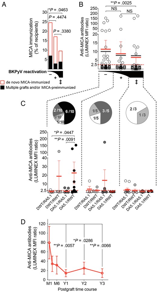Frequency, strength, and time course of anti–major histocompatibility complex (MHC) class I–related chain A (MICA) immunity in kidney transplant recipients. A, Percentages of recipients with anti-MICA antibodies in BK polyomavirus (BKPyV) controller (−), viruric (+), and viremic (++) patients. Presence of preformed (black) vs de novo postgraft-induced (red) anti-MICA antibodies is indicated. Bars represent percentages in each group. B and C, Relative titers (expressed as median fluorescence intensity ratios from Luminex analyses; means ± standard errors of the mean are indicated) of anti-MICA antibodies, according to BKPyV infection (B) and MICA A5.1 D/R mismatch (C). In panel B, black bars refer to the analysis of all patients, whereas red bars refer to patients with only de novo MICA immunization. In panel C, only recent recipients of transplants with de novo MICA immunization were included. The number of recipients in the groups is indicated in sector graphs. D, Time course of the anti-MICA response in transplant recipients with MICA immunization in the cohort (n = 25); statistical analysis was performed by comparing data to values at month 1. Abbreviation: NS, not significant.