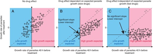 Illustration of the possible drug effects. A, Volunteers who are not treated or are treated with an ineffective drug would be expected to have the same parasite growth after treatment as was seen 40 hours prior to treatment. B and C, Volunteers treated with a drug that has an effect on parasite growth should show retarded parasite growth after treatment. The observed effect of an active drug may depend on when, in the parasite life cycle, it is administered (B), or it may be independent of the timing of administration (C). A very effective drug that interrupts parasite replication and causes the rapid removal of parasites produces a reduction in parasite numbers independent of what parasite growth was expected (C).