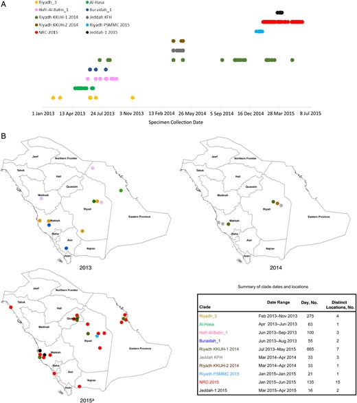Geotemporal distribution of Middle East respiratory syndrome coronavirus (MERS-CoV) clades in Saudi Arabia during 1 January 2013–30 June 2015. For human-derived sequences in each subclade within the broader clade B (as defined using the spike gene phylogenetic analysis in Figure 1), we used GenBank to determine length of persistence, using the earliest and most recent date of detection (A), and we determined geographic distribution, based on city of detection within Saudi Arabia (B). a2015 depicts clades detected through 30 June 2015.