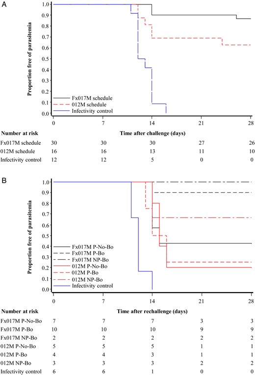 Proportion of subjects remaining free of parasitemia after the first (A) and second (B) controlled human malaria parasite infection (CHMI) in the according-to-protocol population. Thirty subjects from the group that received a 0-, 1-, and 7-month regimen, including a fractional third dose (Fx017M), 16 subjects from the group that received the 0-, 1-, and 2-month full-dose regimen (012M group), and 12 infectivity controls took part in the first CHMI. Of these, 26, 10, and 0, respectively, were protected against the first CHMI. There was evidence for a true difference in protection against the first CHMI between schedules (P = .074, by the Fisher exact test; P = .04, by the log-rank test). Thirty-seven subjects, including 6 infectivity controls, participated in the second CHMI. Abbreviations: NP-Bo, volunteers who were not protected following the primary phase and received a booster dose prior to rechallenge; P-Bo, volunteers who were protected following the primary phase and received a booster dose prior to rechallenge; P-No-Bo, volunteers who were protected following the primary phase and did not receive a booster dose prior to rechallenge.