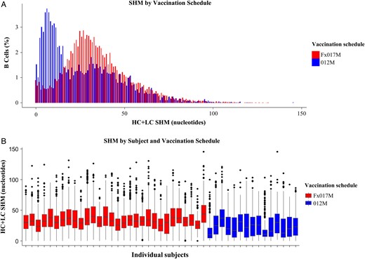 Somatic hypermutation (SHM), by schedule group. A, Bar chart of SHMs in B cells, colored by vaccination schedule. The x-axis is the total number of heavy chain (HC) and light chain (LC) mutated nucleotides, and the y-axis is the fraction of B cells having that level of mutation. For each sequenced B cell, the number of mutations was determined by aligning the HC and LC sequences to predicted germ line sequences and then counting the number of nucleotides in the alignment that differed from those in the best-matching germ line. Because different numbers of B cells were sequenced from different subjects, the height of the bar chart represents the sum of the percentage of B cells for a given level of mutation, normalized by the number of subjects in the arm. B, Box plots of total SHMs, by individual subject, colored by schedule group, showing the range of SHMs for each individual. The x-axis is the subject identifier, and the y-axis is the number of mutations. Each box plot gives the median (horizontal line), interquartile range (IQR; height of rectangle), largest and smallest values within 1.5 times the IQR (vertical lines), and outliers outside of 1.5 times the IQR (points). The difference in the median level of SHMs between the 2 schedule groups is statistically significant (P < .01, by the Wilcoxon rank sum test). Abbreviations: Fx017M, delayed fractional dose, comprising a 0.5-mL dose of RTS,S/AS01B followed 1 month later by a 0.5-mL dose of RTS,S/AS01B, followed 6 months later by a 0.1-mL dose of RTS,S/AS01B; 012M, 0- , 1-, and 2-month standard schedule comprising 3 doses of 0.5 mL of RTS,S/AS01B given 1 month apart.