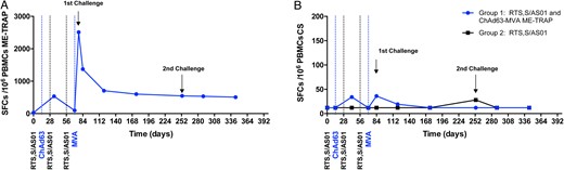 Antigen-specific T-cell responses to vaccination, measured by interferon γ (IFN-γ) enzyme-linked immunospot assay (ELISPOT). A, Median T-cell responses to multiepitope string fused to thrombospondin-related adhesion protein (ME-TRAP). B, Median T-cell responses to circumsporozoite protein (CS) peptide pools are shown for group 1 (RTS,S/AS01 and ME-TRAP; blue line) and group 2 (RTS,S/AS01; black line). Abbreviations: ChAd63, chimpanzee adenovirus 63; MVA, modified vaccinia virus Ankara; PBMC, peripheral blood mononuclear cell; SFC, spot-forming cell.