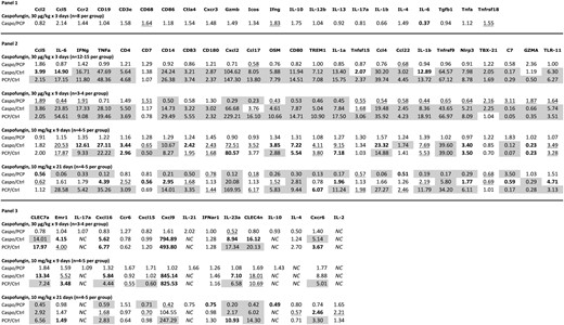 Relative expression of select immune response genes as determined by quantitative polymerase chain reaction. Three panels of genes were examined. Panel 1 was used to evaluate the lungs of animals treated with a low dose of caspofungin (30 µg/kg once daily for 3 days); panel 2 examined animals treated with low or high (10 mg/kg once daily) doses for 3–21 days; panel 3 examined animals treated with low or high doses treated for 9–21 days. Specific dose and duration are indicated in the figure for each group of animals. For animals receiving high-dose caspofungin, the drug was administered 5 days per week. Data are shown as the fold change comparing caspofungin-treated animals to untreated infected animals (Caspo/PCP), caspofungin-treated animals to uninfected animals (Caspo/Ctrl), and untreated infected animals to uninfected animals (PCP/Ctrl). The following coding is used to represent significant P values, as follows: underlined, .05 ≥ P ≥ .01; bolded, .01 > P ≥ .001; and shaded, P < .001. All the shaded values, as well as IL-23a for Caspo/Ctrl, remained significant after applying Bonferroni correction for multiple comparisons (corrected P < .002–.003). Standard abbreviations are used for the individual genes. Abbreviation: NC, not calculable.