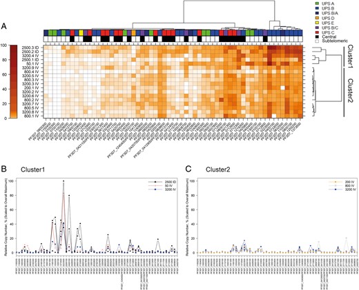 Transcription analysis of all cultures at time period 1 (t1). A, var Gene transcription heat map. The transcription signal is expressed as the percentage of the highest individual var gene transcriptional signal in the entire population (PF3D7_0223500 of 2500.3 ID) and reflected in the color of the boxes of the heat map (bar at far left). Patient identifiers with corresponding infection route and dose are displayed to the left of the heat map; individual var loci are listed at the bottom. Patient identifiers (eg, 2500.3 ID) refer to dosage and route of administration (ID, intradermal; IV, intravenous); see Table 1 for details. Promoter type and chromosomal position are indicated by the boxes above the heat map. Promoter types of var genes are marked with colored boxes. Subtelomeric var genes are marked as white and central var genes as black boxes. Note that a cluster of 8 subtelomeric var genes exhibits the highest transcription levels in all cultures. The 2 clusters of cultures from the different study participants are depicted on the right. Cluster 1: 2500.1–3 ID, 50.1 IV, and 3200.4 IV. Cluster 2: 200.1 IV, 800.1–5 IV, 3200.2 IV, 3200.3 IV, and 3200.5–9 IV. B, C, Overlay peak plots of clusters 1 and 2. Cultures from patients with the same dose and route of infection were collapsed to a single peak plot. The relative copy number as a percentage (of PF3D7_0223500 of 2500.3 ID) is indicated on the y-axis, and the individual var gene loci on the x-axis. The order of var genes is the same as in Figure 2.