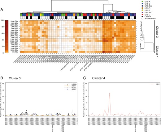Transcription analysis of all cultures at t2. A, var Gene transcription heat map, following the same scheme as in Figure 3. Note that the cluster of var genes with the highest transcriptional levels is now composed of 10 subtelomeric and 7 central var genes. B, C, Overlay peak plot of cultures comprising cluster 3 and 4 following the same scheme as in Figure 3; var transcription levels have decreased across all cultures, except the 50.1 IV culture. Patient identifiers (eg, 3200.7 ID) refer to dosage and route of administration (ID, intradermal; IV, intravenous); see Table 1 for details.