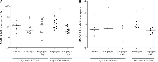 Matrix metalloproteinase 9 (MMP-9) levels in the spleen and inguinal lymph nodes (ILNs) of Yersinia pestis–infected mice during treatment and recovery. The MMP-9 levels were quantified by collagen zymography as described in “Materials and Methods” section. Fold induction of MMP-9 levels (compared to those in naive mice) in the spleen (A) and ILNs (B) on day 3 (open symbols) and day 7 (closed symbols) after infection among mice that were treated with control antibodies (triangles), anti–Y. pestis antibodies (circles), or a combination of methylprednisolone (Mp) and anti–Y. pestis antibodies (squares). Horizontal lines represent the geometric mean values. The data represent the results of 2 (A) and 3 (B) independent experiments. *P < .05.