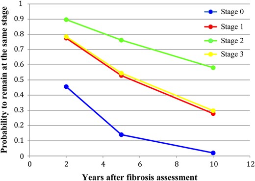 Probability of remaining at the same fibrosis stage (nonprogression) 2, 5, and 10 years after the initial fibrosis assessment.