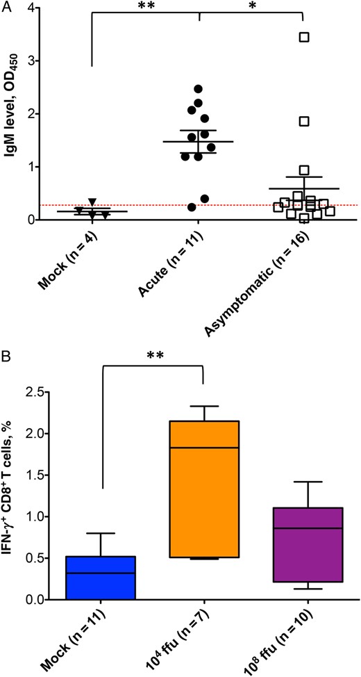 Adaptive immune response to human adenovirus (HAdV) infection in humanized NSG-A2 mice. A, Immunoglobulin M (IgM) levels measured by enzyme-linked immunosorbent assay (ELISA) in the serum of mock-infected mice and those with acute or asymptomatic infection are shown. The red dotted line indicates the threshold for a positive sample and is calculated as the average of the mock values plus 1 standard deviation. The Kruskal–Wallis test was performed for statistical analysis (P = .0021), followed by a Dunn multiple comparison test. *P < .05 for comparisons of the acute infection group to the asymptomatic infection group; **P < .005 for comparison of the mock infection group to the acute infection group. B, The graph shows the percentage of interferon γ (IFN-γ)–expressing CD8+ T cells after specific restimulation of T-cell splenocytes. The Kruskal–Wallis test was performed for statistical analysis (P = .0024), followed by a Dunn multiple comparison test. **P < .005 for comparison of the mock infection group to the group infected with 104 fluorescence-forming units of HAdV. The number of samples per group is shown in parentheses.