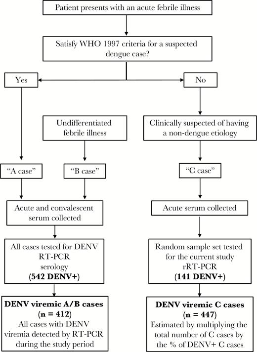 Flowchart showing the organization of and testing performed for febrile cases in the Pediatric Dengue Cohort Study. All patients had healthy, annual serum samples obtained during each year of participation in the study. The number of A/B and C cases that tested positive for dengue virus (DENV) by reverse-transcription polymerase chain reaction (RT-PCR) are shown. The number of cases with DENV viremia in the study period is shown in the last box; this is the number detected by RT-PCR for A/B cases and the estimated number of C cases. Abbreviations: DENV, dengue virus; RT-PCR, reverse-transcription polymerase chain reaction; rRT-PCR, real-time reverse transcription polymerase chain reaction; WHO, World Health Organization.