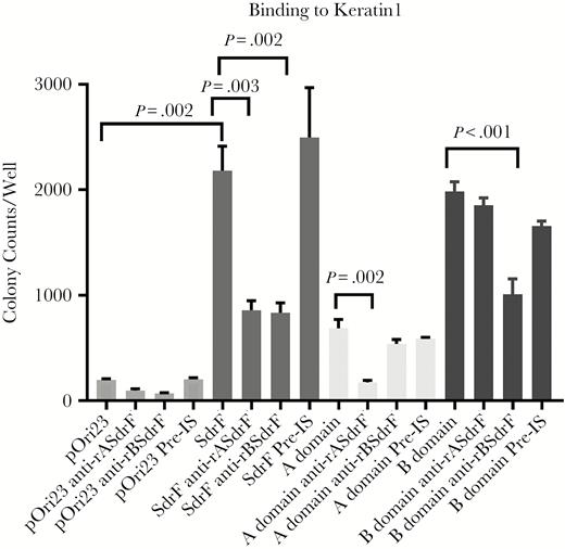 Effect of anti-SdrF domain antibodies on binding to keratin 1. Antibodies directed against the Lactococcus lactis surface-expressed ligand-binding domains of SdrF (anti-rASdrF and anti-rBSdrF) reduced binding of SdrF to keratin 1 compared with preimmune control serum (pre-IS). Data represent the number of bacterial colonies per well and represent the means and standard errors from ≥2 experiments (3 microtiter wells per experiment).