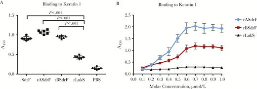 Binding of the purified recombinant SdrF polypeptide domains A and B to immobilized keratin 1. A, Keratin-coated wells were incubated with purified full-length SdrF (SdrF on x-axis) and the truncated ligand-binding domain proteins A and B (rASdrF and rBSdrF, respectively). An irrelevant protein, rLukS, was used as a control. PBS, phosphate-buffered saline. B, Dose-response curve of the 2 SdrF ligand-binding domains adhering to keratin 1 compared with rLukS. Keratin-coated wells were incubated with increasing concentrations of purified rASdrF, rBSdrF and rLukS. Data represent means and standard errors from ≥2 experiments (3 microtiter wells per experiment).
