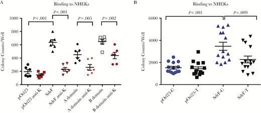A, Binding of Lactococcus lactis expressing pOri23 (cloning vector), SdrF, and the A and B domains to normal human epidermal keratinocytes (NHEKs) in cell culture. Pan-cytokeratin antibody (1 µg/mL) (anti-K) was used in the antibody inhibition assays. Results (number of adherent colonies per well) represent means and standard errors from ≥3 experiments (3 microtiter wells per experiment). B, Binding of L. lactis expressing SdrF to NHEKs treated with RNA interference (RNAi) (SdrF-T or pOri-T) to reduce keratin synthesis (SdrF-C and pOri23-C represent RNAi scramble-treated controls). Data (number of bacterial colonies per well) represent means and standard errors from 3 experiments (3 microtiter wells per experiment).