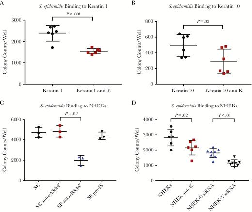 Staphylococcus epidermidis strain 9491 binding to keratins and to normal human epidermal keratinocytes (NHEKs) in the presence or absence of pan-cytokeratin antibody. A, Adherence to keratin 1. B, Adherence to keratin 10. C, Adherence to NHEKs in the presence or absence of anti-A and B domain antibodies (anti-rASdrF and anti-rBSdrF, respectively) or preimmune control serum (pre-IS). D, Adherence to RNA interference (RNAi) treated (control-scrambled vs keratin-specific experimental) NHEKs. Keratin-coated plates were incubated with S. epidermidis for 1 hour at 37°C, followed by washing and plating. Data represent mean and standard errors from ≥3 experiments (3 microtiter wells per experiment).