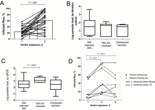 Increase in transmissibility following reexposure to sand fly bites. A, Transmission of Leishmania donovani strain Mongi from sick hamsters to Lutzomyia longipalpis sand flies in the initial feeds on 2 sites on the abdomen and to a new set of flies exposed to the same sites 24 hour later. Nine hamsters were exposed on 2 sites, and 2 hamsters were exposed on 4 sites. Data are percentages of blood-fed flies fed on individual sites positive for parasites in the first and second feeds, with mean values denoted by bars (data are for 26 sites and 11 hamsters). B, Parasite loads as determined by titration culture in 4-mm skin biopsy specimens collected from the sites on the abdomen exposed 2 times to sand fly bites (data are for 16 sites and 8 hamsters), from adjacent nonexposed sites on the abdomen (11 sites and 8 hamsters), and from abdominal sites from sick hamsters never exposed to sand fly bites (8 sites and 2 hamsters). Data are mean values ± SD, with maximum and minimum values. C, Parasite loads as determined by quantitative polymerase chain reaction (qPCR) in 4-mm skin biopsy specimens collected from the sites on the abdomen exposed 2 times to sand fly bites (data are for 14 sites and 7 hamsters), from adjacent nonexposed sites on the abdomen (5 sites and 3 hamsters), and from sick hamsters never exposed to sand fly bites (8 sites and 2 hamsters). Data are mean values ± SD, with maximum and minimum values. D, Transmission of L. donovani strain Mongi (solid lines) or L. donovani 1S (dotted lines) from sick hamsters to flies in the initial feeds on 2 sites on the abdomen and to a new set of flies exposed to the same sites or 2 adjacent, previously nonexposed sites 24 hours later. Data are the percentages of the total number of the blood-fed flies fed on the 2 sites in each group that were positive for parasites, with mean values denoted by bars (data are for 8 sites/group and 8 hamsters).