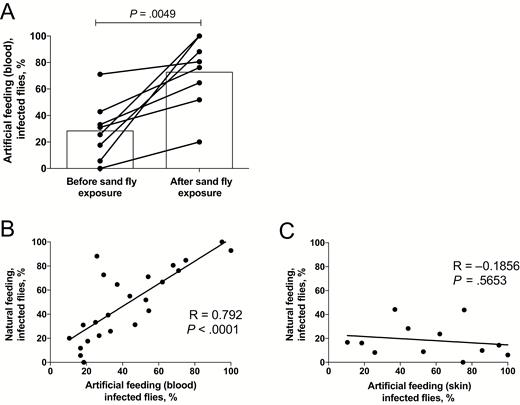 Increase in blood transmissibility after sand fly exposures. Sick hamsters underwent blood specimen collection immediately before exposure to sand fly bites and again 24 hours later just before reexposure on the same sites to a new set of flies. Hamsters were euthanized immediately following the second exposure, and skin specimens from the exposed sites were excised for artificial feeding. A, Transmission of Leishmania donovani strain Mongi to flies by artificial feeding on the blood from sick hamsters obtained before or 24 hours after exposure to sand fly bites. Data are percentages of blood-fed flies positive for parasites, with mean values denoted by bars (data are for 8 hamsters). B, Correlation (Pearson r) between transmission of L. donovani strain Mongi to flies by direct feeding on sick hamsters and artificial feeding on the blood obtained from the same hamsters. Results from both before and after exposure to sand fly bites are included. C, Correlation between transmission of L. donovani strain Mongi to flies by direct feeding on sick hamsters and artificial feeding on the skin obtained from the same hamsters. Only results of postfeeding exposures are shown.
