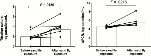 Increase in blood parasitemia level following exposure to sand fly bites. A, Parasite loads in whole blood specimens obtained from hamsters infected with Leishmania donovani strain Mongi as determined by titration culture using blood specimens obtained before and after sand fly exposure. Data are log parasite counts per milliliter of blood, with geometric means denote by bars (data are for 8 mice). B, Parasite loads in whole blood specimens as determined by quantitative polymerase chain reaction (qPCR), using blood obtained before and after sand fly exposure. Data are log parasite counts per milliliter of blood, with geometric means denoted by bars.
