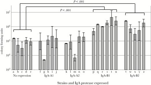 Results of invasion and intracellular survival assays of human respiratory epithelial cells with 26 clinical isolates of nontypeable Haemophilus influenzae recovered from sputum samples of adults with chronic obstructive pulmonary disease. Y-axis shows colony-forming units of bacteria that invaded cells. X-axis shows strains with immunoglobulin (Ig)A protease expression as noted. Lanes contain strains: (a) 12P56H2, (b) 26P1H1, (c) 27P38H1, (d) 29P30H1, (e) 46P8H1, (f) 5P1H1, (g) 19P49H1, (h) 14P41H1, (i) 32P8H3, (j) 102p16H1, (k) 72P12H1, (l) 84P12H1, (m) 94P40H1, (n) 124P3H1, (o) 40P92H1, (p) 3P14H1, (q) 6P24H2, (r) 33P46H1, (s) 56P54H1, (t) 118P3H1, (u) 11P6H, (v) 56P34H4, (w) 91P109H1, (x) 128P1H1, (y) 133P17H1, (z) 2019. Individual bars show 3 independent replicates for each strain, and error bars show standard errors. Invasion by strains that express IgA-B1 protease (P < .001) and IgA-B2 protease (P < .001) are significantly greater than invasion by strains that do not express IgA protease as noted. Strains that express IgA-A1 protease and IgA-A2 protease are no different in invasion compared with nonexpressing strains.