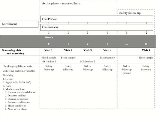 Study design. Before the first participant was vaccinated, potential participants were screened for eligibility and matching purposes. Matched participants were included in the study. During the active phase of the study, participants visited the study center at specified timepoints for a blood draw to determine immune parameters (months 0, 1, and 3), and to receive the study vaccine (months 0 and 2). Only data collected during the active phase of the study are reported in this manuscript. The safety follow-up was expected to continue until August 2017. During this safety follow-up, participants are being followed for safety through monthly phone calls. A final blood draw is scheduled to take place at 12 months after the second dose of study vaccine. Abbreviations: HZ-NonVac, participants who never received the live attenuated zoster vaccine; HZ-PreVac, participants who received the live attenuated zoster vaccine ≥5 years prior to study start; HZ/su, herpes zoster subunit candidate vaccine.
