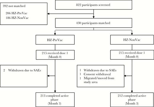 Participant disposition. Potential participants were first screened and matching variables were collected (see Figure 1). Only matched participants were vaccinated with herpes zoster subunit candidate vaccine (see Supplementary Table 1 for additional information on matching). Abbreviations: HZ-NonVac, participants who never received the live attenuated zoster vaccine; HZ-PreVac, participants who received live attenuated zoster vaccine ≥5 years prior to study start; SAE, serious adverse event.