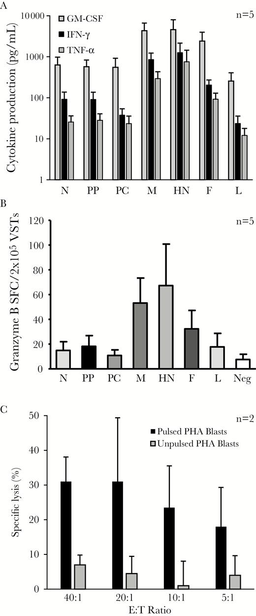 Parainfluenza virus (PIV3)–specific T cells are Th1-polarized and cytolytic. A, Cytokine profile of PIV3-specific T cells as measured by multiplex bead array. B, Production of granzyme-B by enzyme-linked immunospot assay. Results are reported as mean ± standard error of the mean spot-forming cells/2 × 105 input cells. C, Cytolytic potential of PIV3-specific T-cell lines as evaluated by standard 4-hour chromium 51 release assay using PIV3 pepmix-pulsed phytohemagglutinin blasts as targets (n = 2). Results are presented as percentage of specific lysis (mean ± standard deviation). Abbreviations: E:T, effector:target ratio; F, fusion; GM-CSF, granulocyte-macrophage colony-stimulating factor; HN, hemagglutinin-neuraminidase; IFN-γ, interferon gamma; L, large protein; M, matrix; N, nucleocapsid; PC, protein C; PHA, phytohemagglutinin; PP, phosphoprotein; SFC, spot-forming cell; TNF-α, tumor necrosis factor alpha; VST, virus-specific T cell.