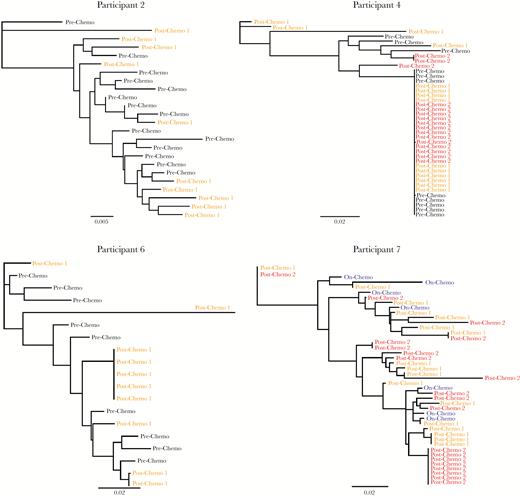 Maximum likelihood phylogenetic trees of single-genome human immunodeficiency virus type 1 (HIV-1) envelope DNA sequences from pre- or on-chemotherapy and postchemotherapy CD4+ T cells in patients with lymphoma on stable antiretroviral therapy throughout chemotherapy. Oligoclonal clustering of sequences was observed only following completion of chemotherapy in participants 4 and 6, with an increase in the number of near-identical envelope sequences following chemotherapy in participant 7. Phylogenetic trees were generated using bootstrapped, generalized time-reversible models. Bars represent genetic distance. Mean genetic distances for each participant time point are as follows: participant 2 prechemotherapy D = 0.019, postchemotherapy D = 0.032; participant 4 prechemotherapy D = 0.015, first postchemotherapy D = 0.032, second postchemotherapy D = 0.012; participant 6 prechemotherapy D = 0.018, postchemotherapy D = 0.019; participant 7 first on-chemotherapy D = 0.046, postchemotherapy D = 0.033. When excluding the single postchemotherapy outlier sequence from participant 6, the prechemotherapy D = 0.024 and postchemotherapy D = 0.013.
