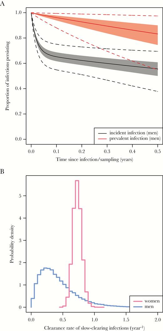 A, Simulated survival curves for incident and prevalent infections in men. Solid lines indicate the median of the simulated proportion persisting, shaded areas the central 50% (the interquartile range), and dashed lines the central 95%. Note that the time axis is time since infection for incident infections, and time since detection of infection for prevalent infections. B, Posterior distributions for the clearance rate of slow-clearing chlamydia infections in men (blue) and women (pink), based on follow-up of up to 6 months in men and 4 years in women.