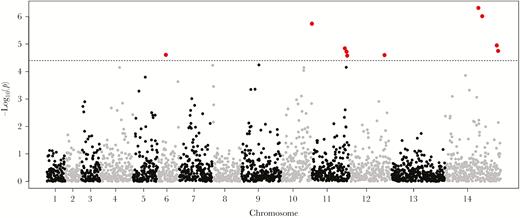 Manhattan plot of the association between genome-wide parasite genotypes and piperaquine 90% inhibitory concentrations (IC90). Linear mixed models were used to estimate the association between single nucleotide polymorphisms (SNPs) on the DNA microarray and a continuous measure of log-transformed piperaquine IC90 (n = 153). The SNPs achieving genome-wide significance are shown in red. The SNPs on chromosomes 6, 10, 11, 12, and 14 were significantly associated with the phenotype. The SNP in PfCRT encoding the F145I mutation was not included in the microarray and was only detected by whole-genome sequencing.
