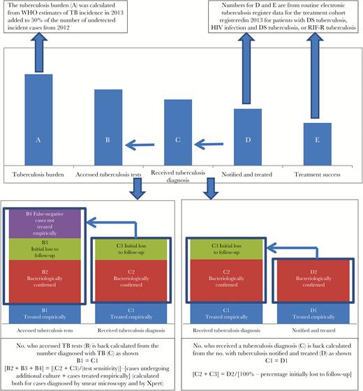 Approach to estimating the number of cases at each step in the tuberculosis care cascade. Abbreviations: DS, drug susceptible; HIV, human immunodeficiency virus; RIF-R, rifampicin resistant; WHO, World Health Organization.