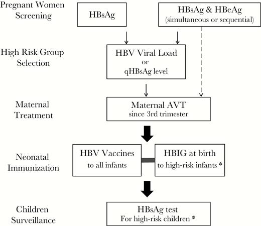 Strategy of pregnant women screening that is tightly linked with high-risk group selection, maternal antiviral treatment (AVT), neonatal immunization, and postimmunization surveillance for hepatitis B surface antigen (HBsAg) positivity in children. *In concordance with antenatal screening strategy, some countries target infants born to HBsAg-positive mothers for hepatitis B immunoglobulin (HBIG) administration and postimmunization HBsAg surveillance; some countries target infants born to both HBsAg and hepatitis B e-antigen (HBeAg)-positive mothers for HBIG administration and postimmunization HBsAg surveillance.