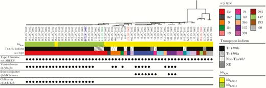 Transposable element carrying blaKPC, virulence factors and capsular diversity as revealed by wzi typing in the blaKPC harboring K. pneumoniae isolates, identified by year of isolation and ST. Indicated in red are isolates corresponding to the first blaKPC-harboring isolates reported in Colombia; in blue is the oldest blaKPC-harboring CG258 isolate found in our collection; in green is the index isolate from the “Israeli clone”. Genes encoding for the main virulence factors described in K. pneumoniae are grouped (type 3 fimbriae, yerisiniabactin, iron transporter, colibactin); a dot indicates presence of at least one gene from the group, blank indicates absence. Each wzi type is indicated by a different color. For the transposable element, ND indicates not determined.