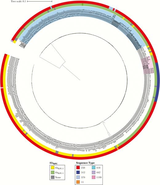Circular representation of the transformed phylogenetic tree generated by RAxML and drawn using iTOL version 3.2.4, showing the genetic relationships among 331 CG258 Klebsiella pneumoniae isolates. Isolates shown in bold correspond to Colombian isolates collected in this study, all other isolates were obtained from GenBank and are named with the respective country where they were collected followed by 2 digits indicating the year of isolation. Outer ring indicates the sequence type (ST); inner ring indicates the KPC variant carried by each isolate. Isolates highlighted in pink indicate the cluster including the “Israeli outbreak”-related Colombian isolates (ST512), as well as other worldwide isolates found on GenBank. Isolates highlighted in blue indicate the cluster including the oldest ST258 isolate in our collection (KPC48a) as well as most of the other ST258 Colombian isolates reported in this study.