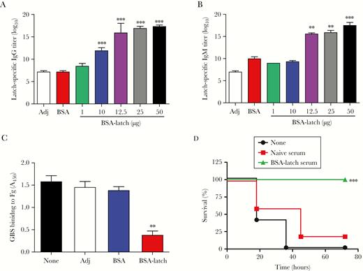 Protective effects of latch-specific antibodies against group B streptococcus (GBS). Mice (n = 5) were vaccinated with indicated concentrations of bovine serum albumin–conjugated latch peptide (BSA-latch) twice intraperitoneally at 14-day intervals. A and B, Serum levels of latch-specific immunoglobulin G (IgG; A) and immunoglobulin M (IgM; B) were analyzed 7 days after the second vaccination. Data are expressed as means ± SD. **P < .01 and ***P < .001, compared with adjuvant (Adj). C, GBS CNCTC 10/84 (109 colony-forming units) was incubated with 10 μL of immune serum from the mice vaccinated with Adj, BSA, or BSA-latch and added to the well coated with human fibrinogen. After incubation for 30 minutes, wells were washed and stained with 0.5% crystal violet. Data are expressed as means ± SD. **P < .01, compared with Adj. D, Serum (100 μL) from naive or BSA-latch–vaccinated mice was intraperitoneally inoculated into naive CD-1 mice (n = 5). At 12 hours after inoculation, mice were challenged intravenously with GBS CNCTC 10/84, and mouse survival was monitored for 72 hours. *P < .05, compared with unvaccinated mice.