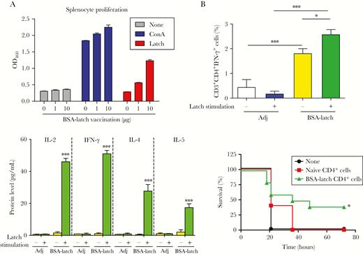Protective effect of latch-specific CD4+ T cells against group B streptococcus (GBS). Mice (n = 5) were vaccinated with 10 µg of bovine serum albumin–conjugated latch peptide (BSA-latch) twice intraperitoneally at 14-day intervals, and the spleen was dissected from the mice 7 days after vaccination. A, Splenocytes were incubated with 1 or 10 µg of latch peptide for 48 hours, and proliferation of splenocytes was measured. Data are expressed as means ± SD. B, Splenocytes were incubated with 10 µg of latch peptide, and percentages of interferon γ (IFN-γ)–secreting CD4+ T cells were measured by flow cytometry. Data are expressed as means ± SD. C, Splenocytes were incubated with 10 µg of latch peptide, and expression of interleukin 2 (IL-2), interleukin 4 (IL-4), interleukin 5 (IL-5), and IFN-γ were measured in culture supernatants by enzyme-linked immunosorbent assay. Data are expressed as means ± SD. D, Splenic CD4+ T cells from naive mice (n = 5) or BSA-latch–vaccinated mice were pooled and transferred intraperitoneally to CD-1 mice (n = 5). At 12 hours after inoculation, mice were challenged intravenously with GBS CNCTC10/84, and mouse survival was monitored for 72 hours. *P < .05, **P < .01, and ***P < .001, compared with unvaccinated mice. Adj, adjuvant; ConA, concanavalin A.