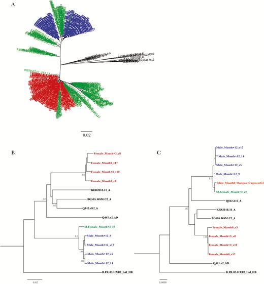 Sequencing results demonstrate a linked human immunodeficiency virus superinfection (HIV-SI) event. A, Neighbor-joining phylogenetic tree of consensus gp41 viral sequences (≥10 reads) derived from next-generation sequencing (NGS) of viruses collected at the initial time point from the female participant (red) and her husband (blue; at −19 months), as well as viral sequences collected from the female participant immediately after HIV-SI (ie, during month 3; green), with the superinfecting viral strains clustering with virus from her husband. The number of repeated sequences represented by each NGS consensus sequence is shown at the end of the consensus identifier. B, Neighbor-joining tree of full SGA-derived viral envelopes used for pseudotyped viruses. C, Neighbor-joining tree of 230 base pairs of the 5′ end of the viral envelope from the pseudotyped viral isolates aligned with the NGS shotgun-sequencing fragment from husband’s sample collected before HIV-SI (orange). The fragment clusters with the superinfecting strain found in his wife immediately after HIV-SI. Distances are indicated for the tree by the scale at bottom, and samples are grouped with a selection of subtype reference sequences (black). Bootstrap values >80% are indicated (1000 replicates).