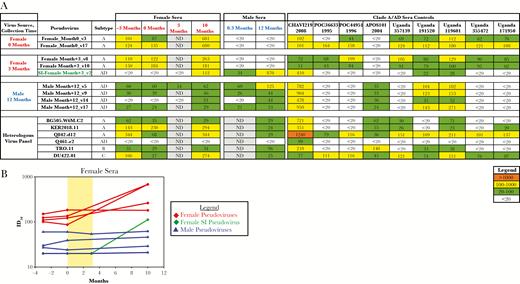 Sera from the female subject sera did not neutralize the superinfecting viral strain. A, Values in table indicate the dilution of the heat-inactivated serum required to block 50% of a standard infectious dose (ID50): weak (green), moderate (yellow), and strong (orange) neutralization values are highlighted. Along the top of the table are indicated time points at which sera were collected from the woman and her husband, as well as a collection of sera from individuals infected with human immunodeficiency virus (HIV) subtype A and A/D. The 3 columns to the left show information on Env pseudoviruses tested, including the month and visit time point. The female SI virus (SI-Female Month+3_v2) is in green. Sera from individuals screened for linked superinfection are indicated by couple number and member identifier (Supplementary Table 1). To provide a benchmark for the varied levels of neutralization activity against autologous viruses, sera from the husband and wife were also tested against a panel of 6 previously described HIV pseudoviruses (heterologous virus panel). Serum samples collected from the woman before HIV-SI displayed a measurable neutralizing antibody response to 5 of 6 unassociated pseudoviruses, and the serum sample collected from the husband at the time of HIV-SI was weakly neutralizing against all pseudoviruses tested. B, ID50 values of the female participant’s samples over time against the corresponding heterologous and homologous pseudoviruses are shown.