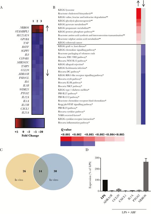 Ascaris suum adult body fluid (ABF) downregulates inflammatory pathways in lipopolysaccharide (LPS)-stimulated dendritic cells (DCs). A, Differentially expressed genes identified by microarray in DCs exposed to ABF and LPS (n = 3), relative to DCs cultured with only LPS (n = 3). Shown are significantly regulated genes with a fold-change of at least 2 (see Supplementary Material for full list of all downregulated genes). B, Gene pathways altered by ABF treatment in DCs, as determined by gene-set enrichment analysis. Shown are upregulated pathways with Q value < 0.05, and downregulated pathways with Q value < 0.005 (see Supplementary Material for full list of all differentially regulated pathways). ** Indicates pathway involved in metabolism, * indicates pathway involved in inflammation C, Unique and common gene pathways modulated by A. suum infection in vivo, and ABF treatment of DCs in vitro. D, Quantitative PCR validation of selected differentially expressed genes in DCs exposed to ABF and LPS (n = 5), relative to LPS alone (n = 5). For all genes, expression is significantly different (P < .001) relative to LPS treatment alone. Shown is the mean ± SEM.