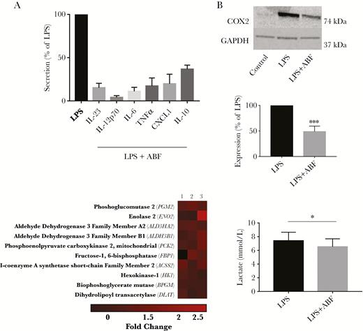 Ascaris suum adult body fluid (ABF) suppresses lipopolysaccharide (LPS)-induced cytokine secretion, cyclooxygenase (COX-2) expression, and lactate production in dendritic cells (DCs). A, Secretion of cytokines in DCs stimulated with LPS and ABF, relative to LPS only. For all cytokines, secretion is significantly different (P < .01) relative to LPS alone. The experiments were repeated at least 3 times, each time using cells from a different blood donor. Shown is the mean ± SEM. B, Reduction of LPS-induced COX-2 expression in DCs by ABF (n = 4). Shown is representative western blot from 1 experiment, as well as the mean ± SEM. ***P < .01 by Student t test. C, Modulation of genes involved in glucose metabolism in DCs stimulated with LPS plus ABF, compared to LPS alone (each n = 3). Shown are the top 10 upregulated genes in the KEGG glycolysis-gluconeogenesis pathway identified by gene-set enrichment analysis. D, Reduction of lactate production in LPS-stimulated DCs by ABF (n = 3). *P < .05 by paired 1-tailed t test.